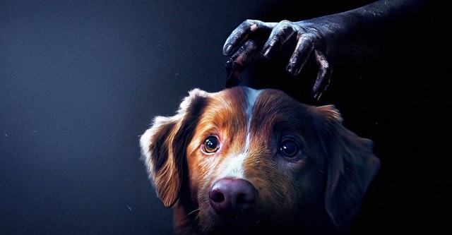 El terror tiene una nueva mirada: Good Boy llega a los cines este 30 de octubre