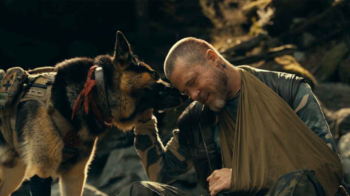 EL CORAZÓN DE LA BESTIA: BRAD PITT Y SU PERRO DE COMBATE LUCHAN POR SOBREVIVIR EN ALASKA