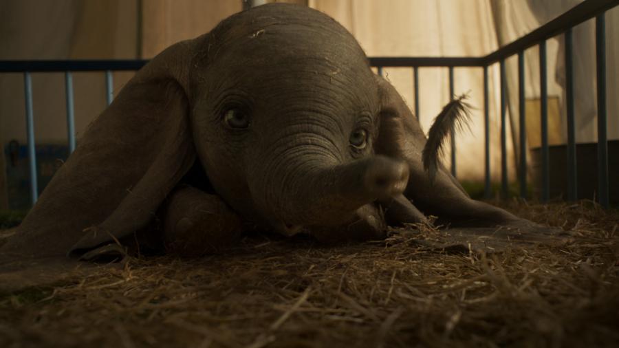 DUMBO