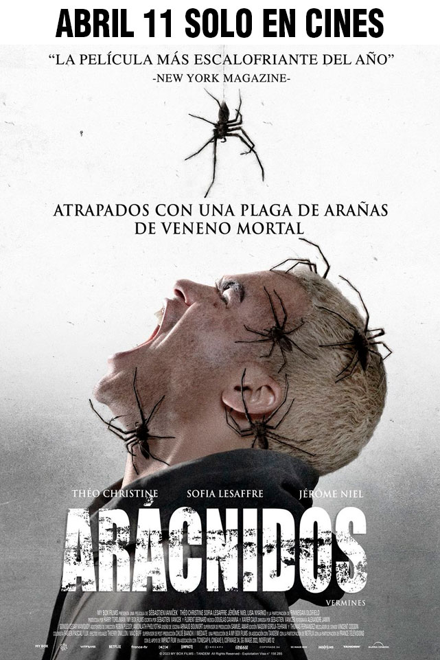 ARÁCNIDOS