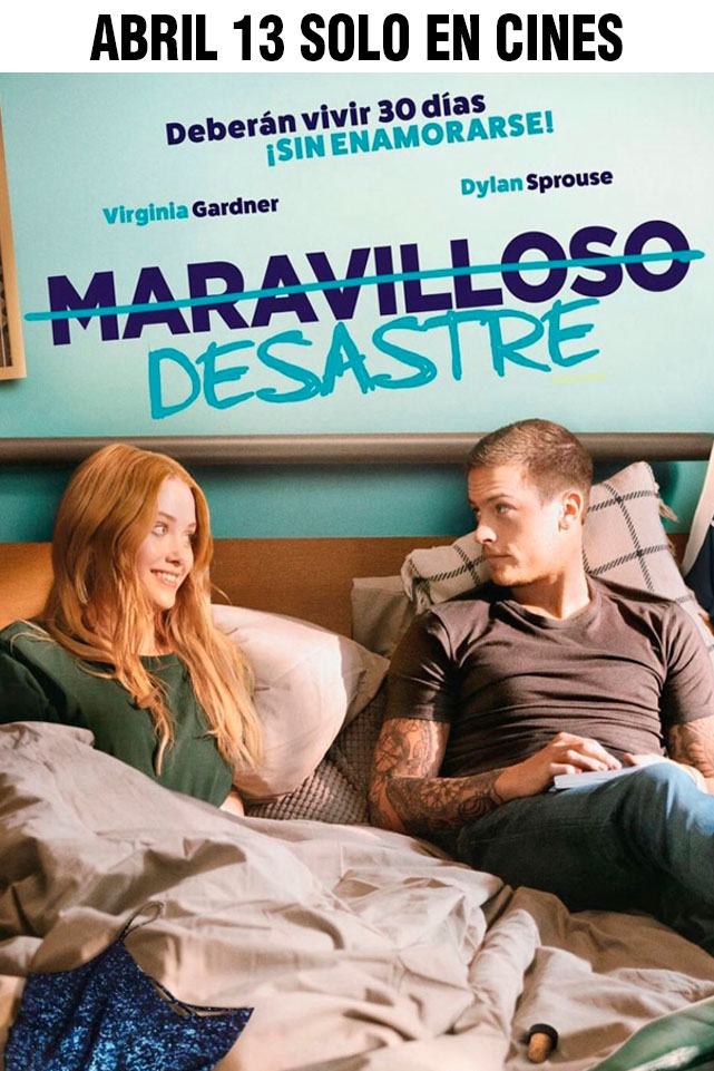 MARAVILLOSO DESASTRE