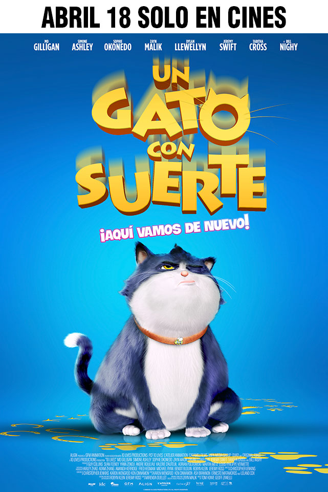 UN GATO CON SUERTE