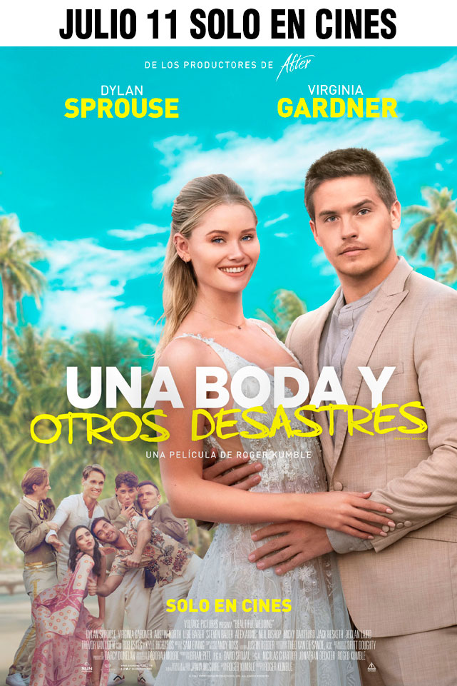 UNA BODA Y OTROS DESASTRES