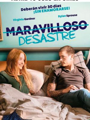 MARAVILLOSO DESASTRE